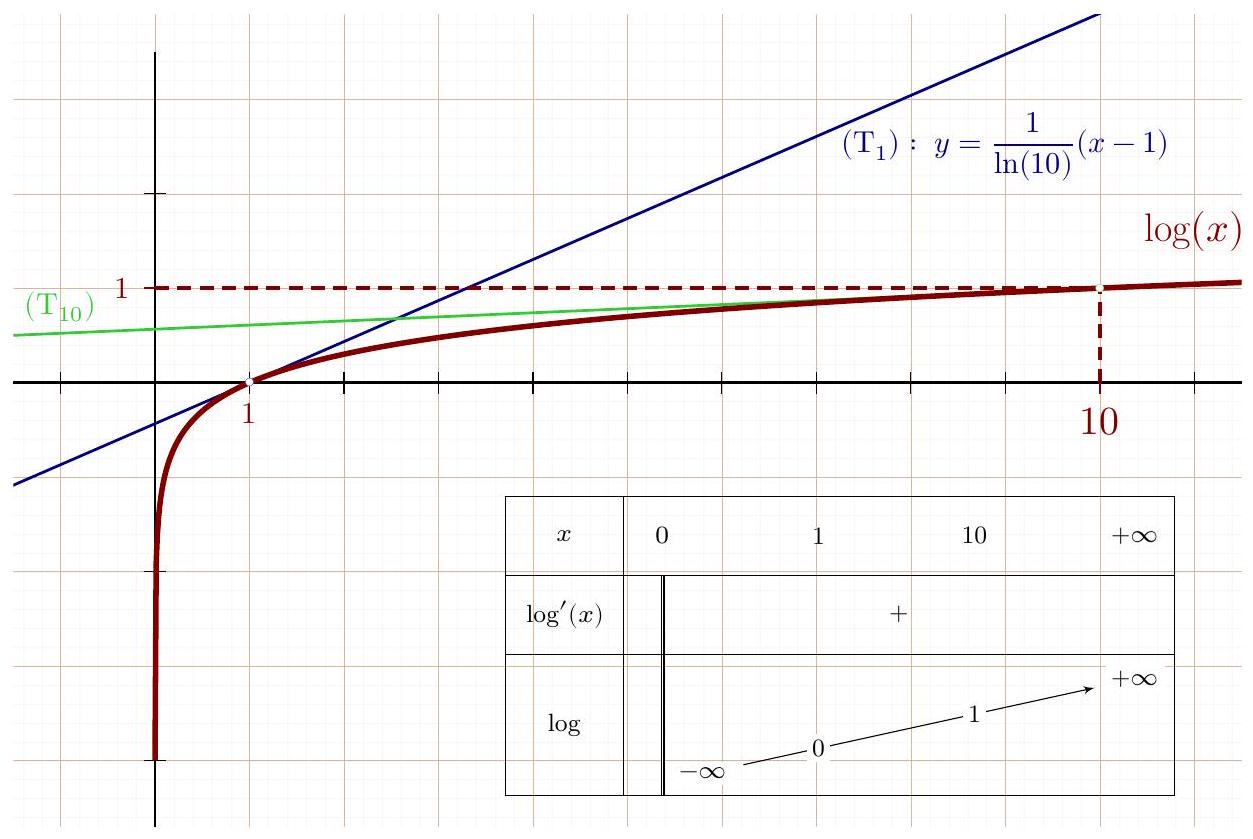 Courbe représentative de log(x)
