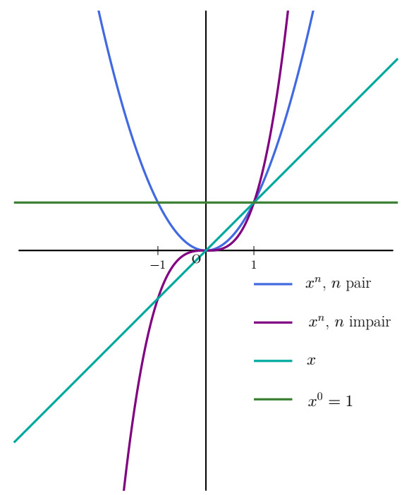 Limites en l'infini des fonctions x^n